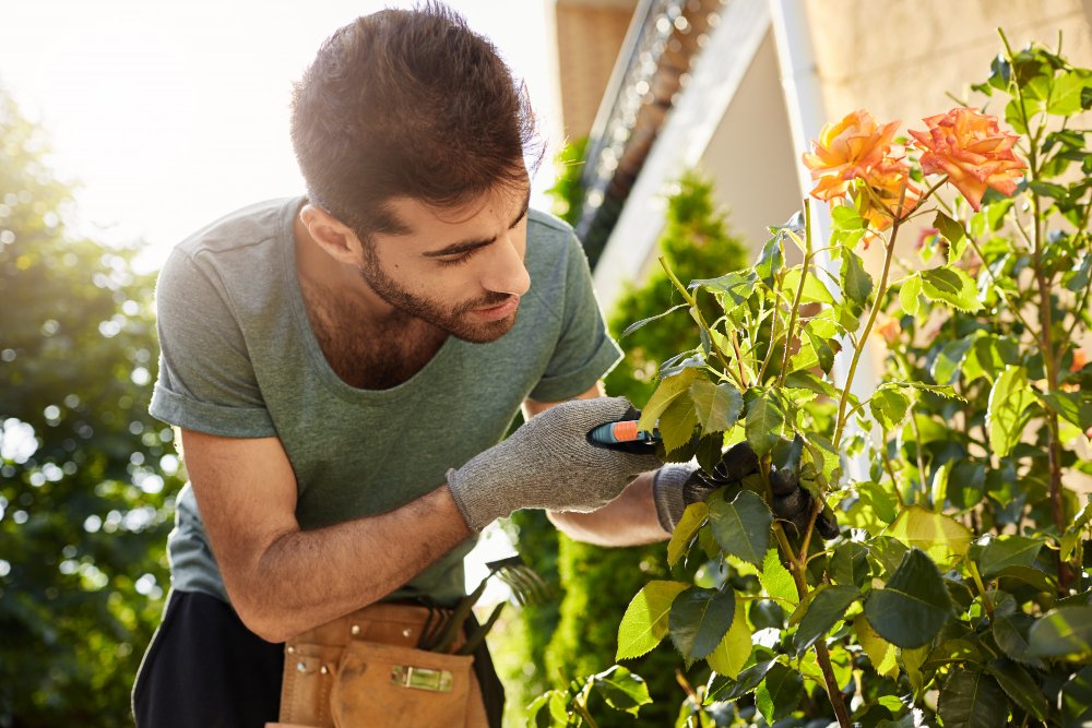 Gartenarbeit